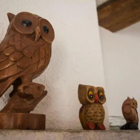 House De La Chouette 2